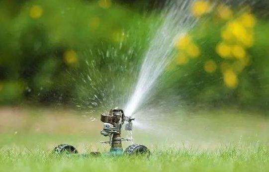 綠化苗木的灌溉與排水，應(yīng)該注意這8個(gè)方面！