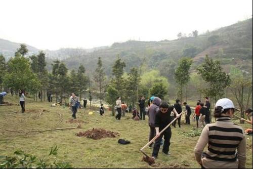 栽樹五大誤區(qū)，您中招了嗎？