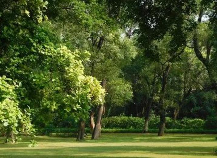 園林綠化養(yǎng)護(hù)那些事兒，你都知道嗎？