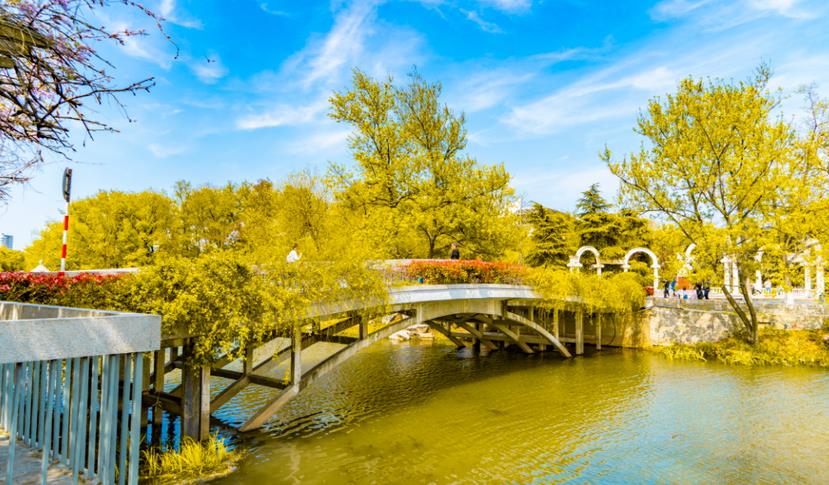 秋季關(guān)于園林綠化養(yǎng)護(hù)專業(yè)知識(shí) ，你知道多少？